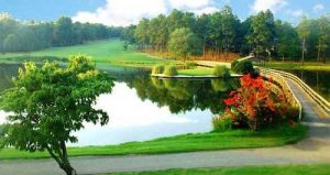 seven-lakes-golf-pinehurst